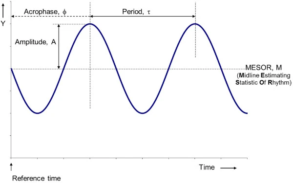 rhythm-characteristics